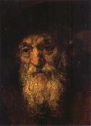 REMBRANDT Harmenszoon van Rijn Portrait of an Old Jew oil painting